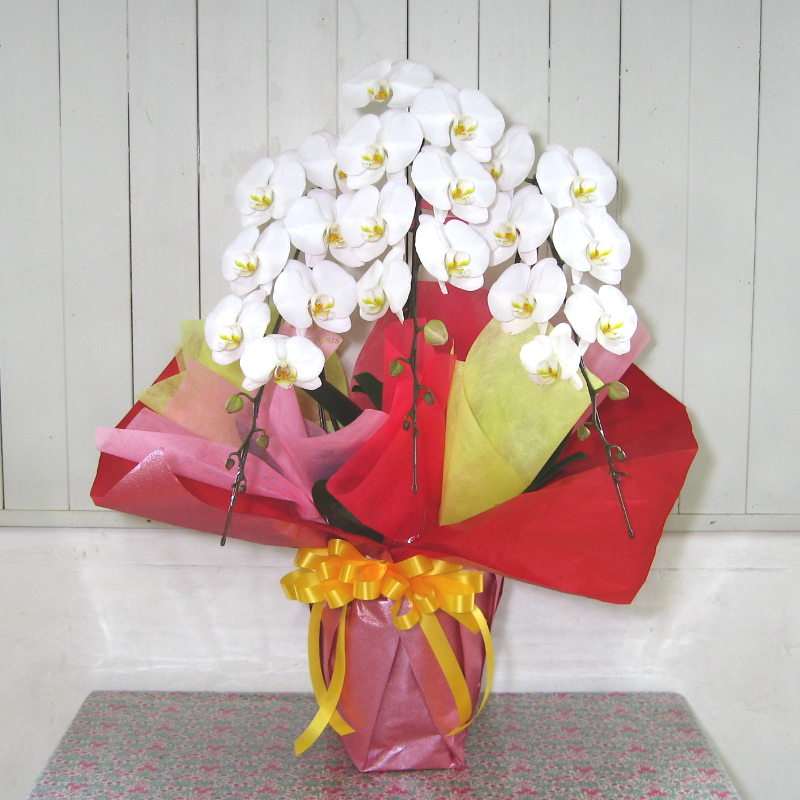 お揃いリボン【1085】 【公式通販】