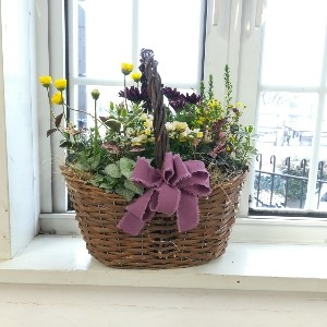 春の寄せ植え