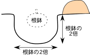 木の植え方1