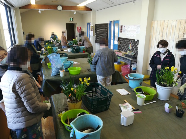 芽出し球根寄せ植え 制作風景