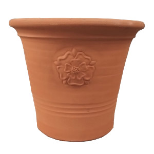 660E English Rose Planter