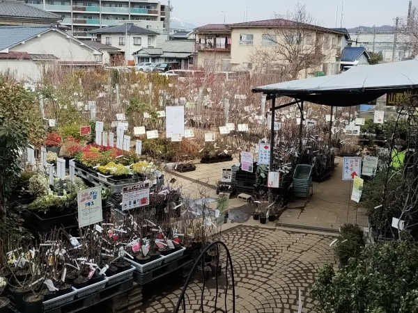 庭木売場 全景