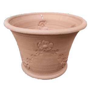 696 RHS Creeping Buttercup Planter