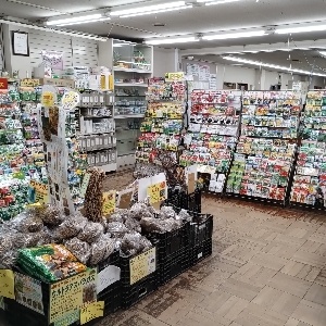 野菜種売場