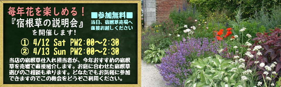 宿根草品種説明会