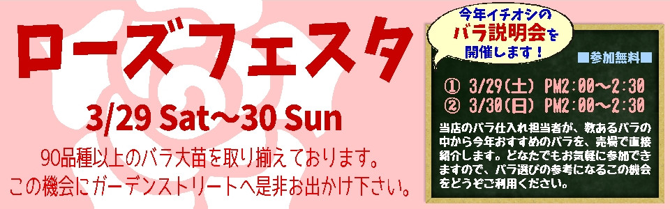 ローズフェスタ バラ品種説明会