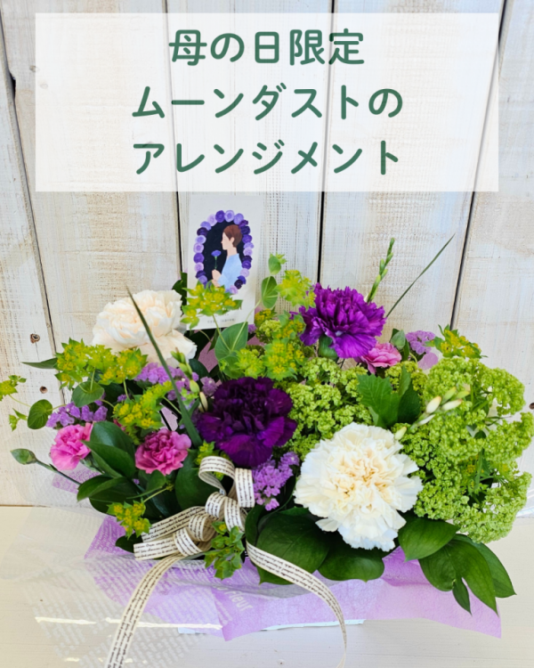 母の日限定 ムーンダストのアレンジメント