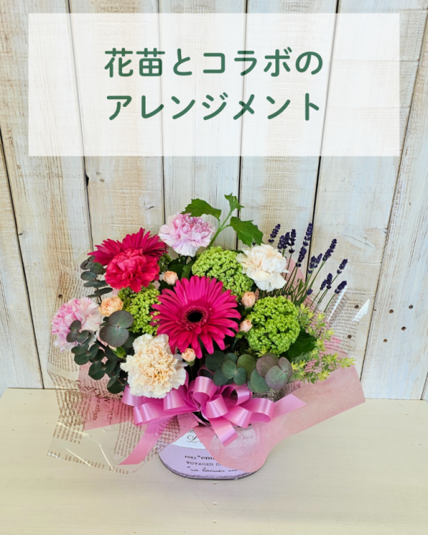 花苗とコラボのアレンジメント