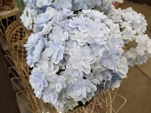 ハイドランジア 万華鏡