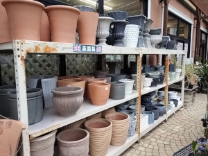 英国製陶器鉢 と ファイバーポット