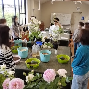 バラづくり体験教室 花後剪定のお話し