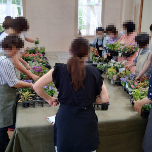 ハンギングバスケット基礎講座