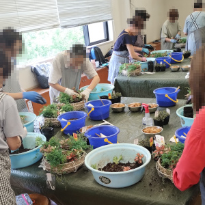 ハンギングバスケット基礎講座 観葉植物 リングコンテナ