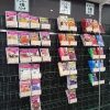 パンジー ビオラ 種子