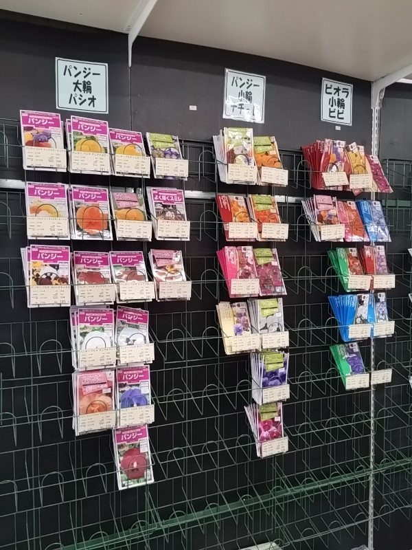 パンジー ビオラ 種子