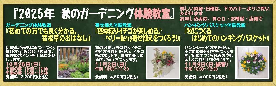 秋のガーデニング体験教室