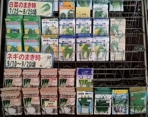 白菜 ネギ 葱 種子