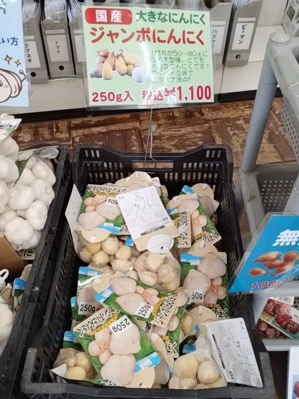 ジャンボにんにく 種球根