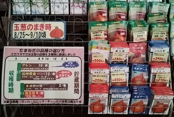 玉葱 種子