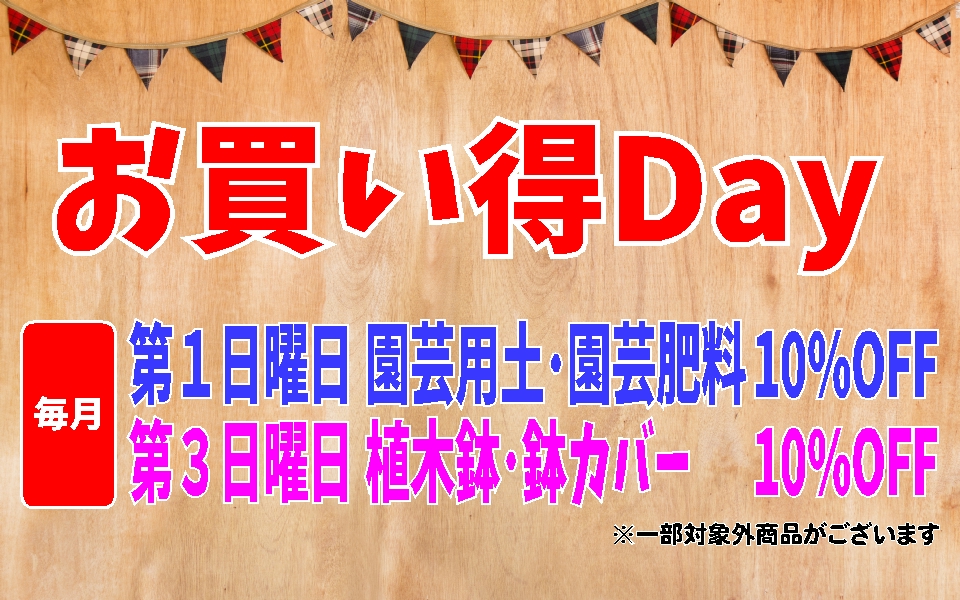お買い得Day