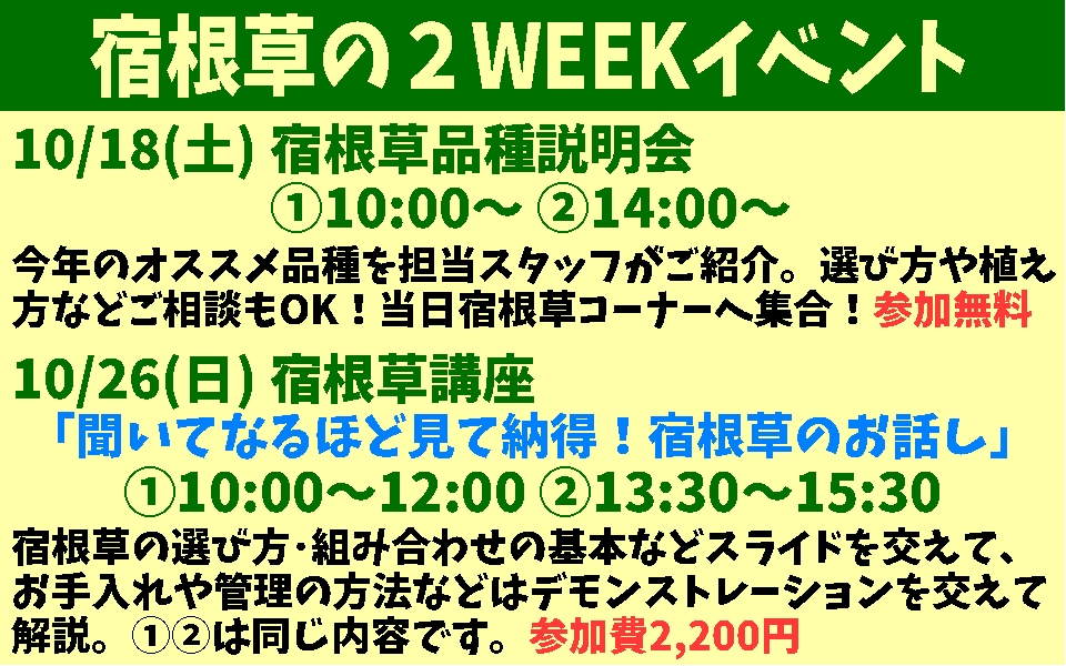 宿根草 2WEEK 宿根草品種説明会 宿根草講座