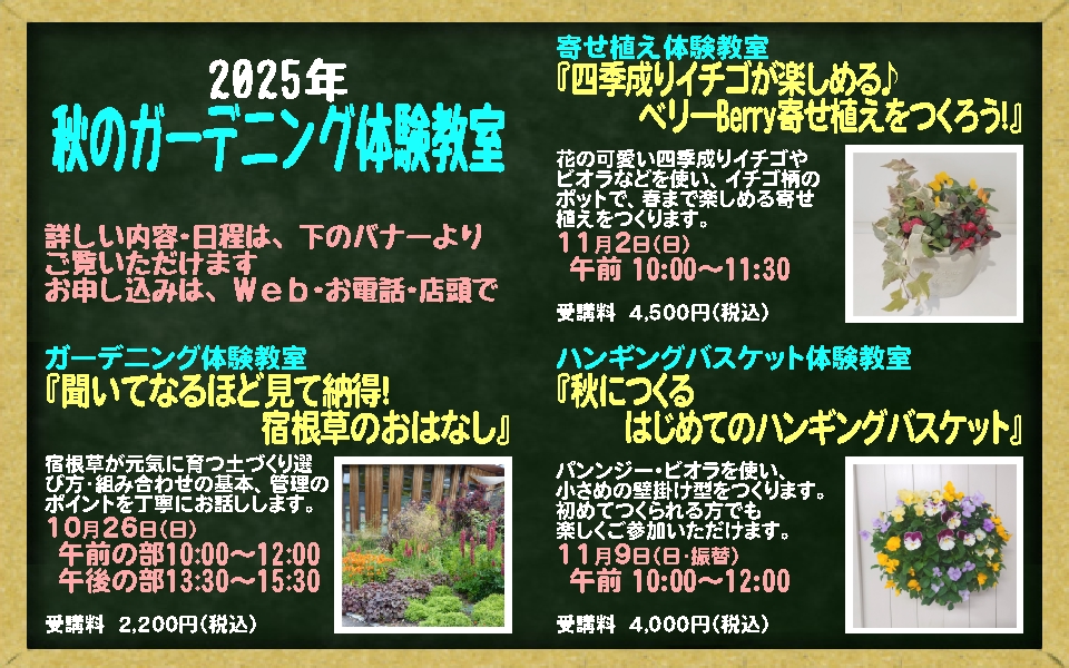 秋のガーデニング体験教室