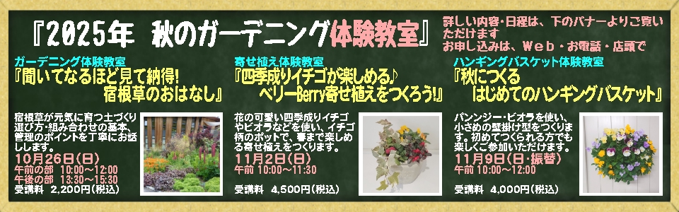 秋のガーデニング体験教室
