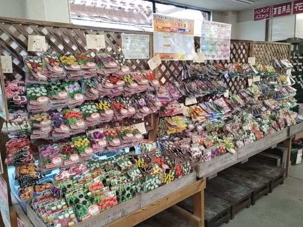 球根コーナー