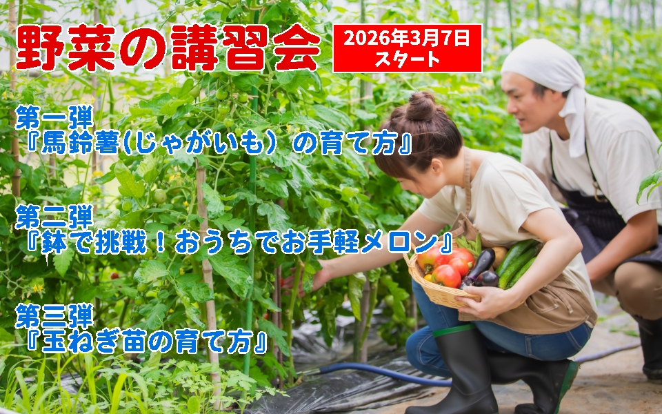 野菜の講習会 野菜づくり 家庭菜園