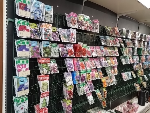 花種子 ハーブ種子