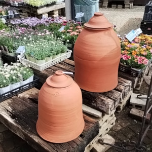 ルバーブ フォーサー ポット