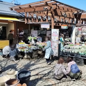 ガーデニング基礎講座 鉢と苗を選んでいます