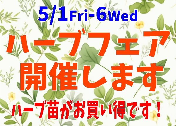 ハーブフェア