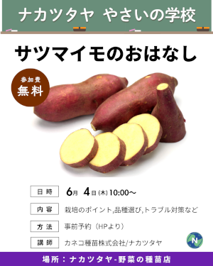 ナカツタヤ やさいの学校 やさいのおはなし サツマイモのおはなし