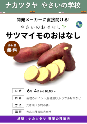 ナカツタヤ やさいの学校 やさいのおはなし サツマイモのおはなし