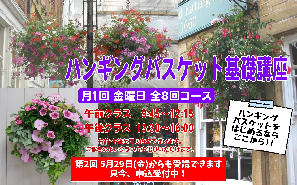 ハンギングバスケット基礎講座