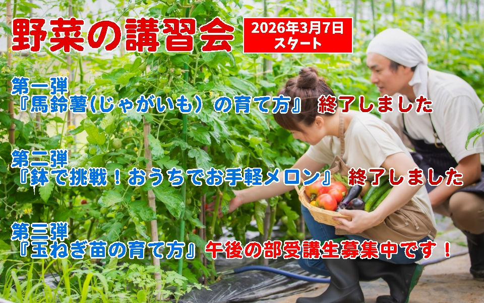 長野県松本市の 種苗店 ナカツタヤ・ガーデニング専門店 ナカツタヤ